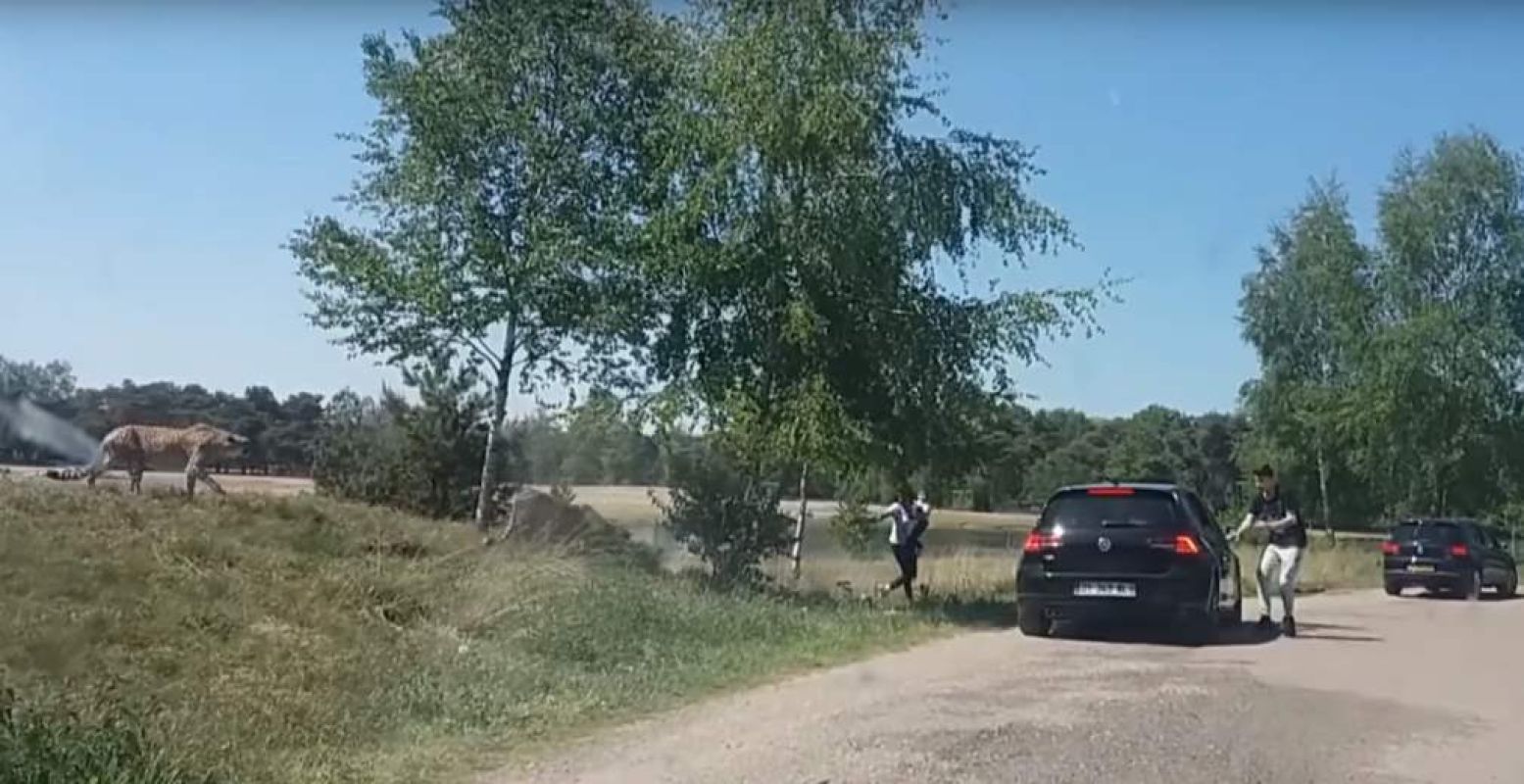 De moeder en het kind weten als laatsten veilig in de auto te komen. Foto: Videostill Youtube