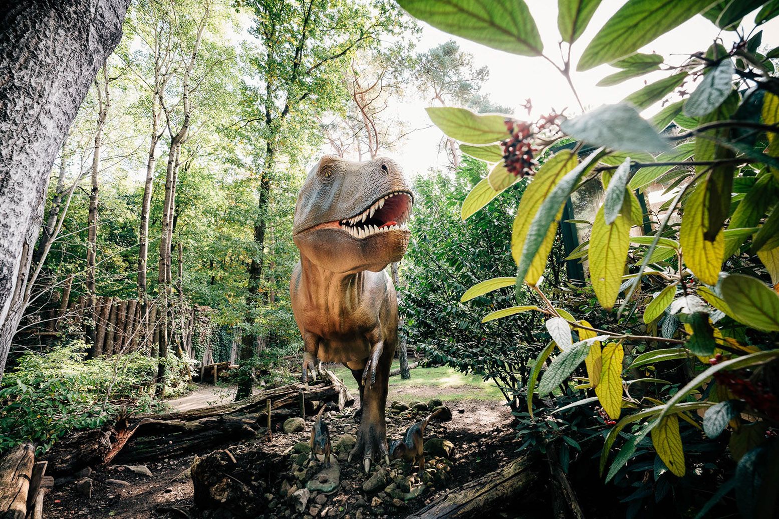 Ontdek hoe dino's met elkaar samenleefden. Foto: DierenPark Amersfoort © Jessie Kamp