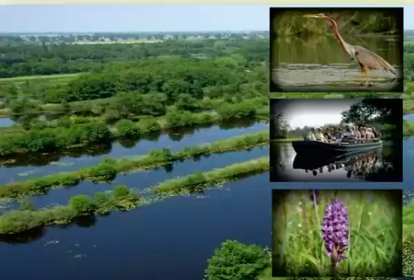 Varen langs het drijvend land van de Molenpolder De Molenpolder. Foto: Staatsbosbeheer.