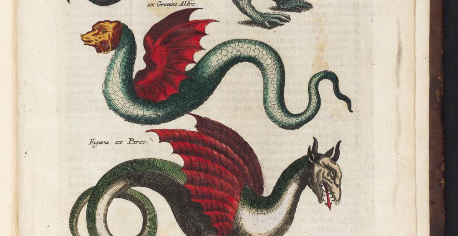 Draken uit oude boeken, 1660. Foto: Teylers Museum