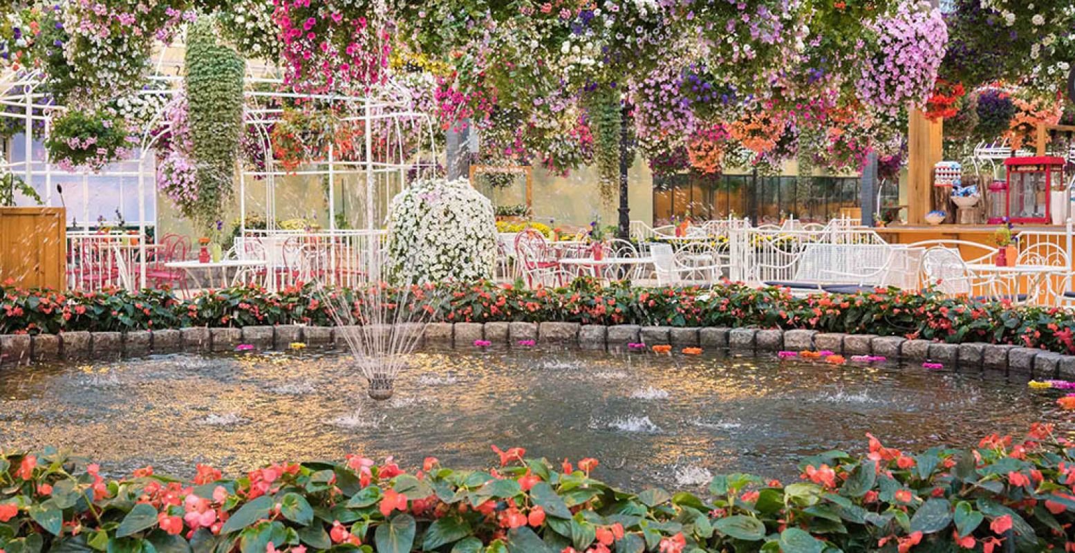 Vier Koningsdag lekker tropisch in de Zwevende Bloementuin. Foto: Orchideeën Hoeve.