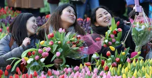 Flowerpower op de Dam Tijd voor een fleurige selfie tussen de kleurige tulpen! Foto: Tulpentijd.nl / VidiPhoto.