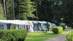 Op deze camping midden op de Veluwe kom je écht tot rust. Foto: © Molecaten