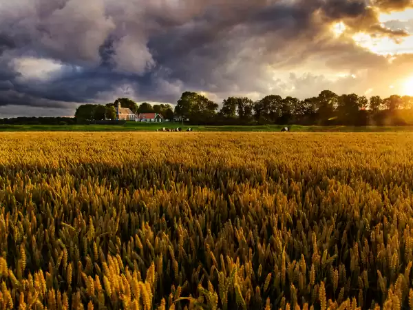 Je vindt het museum in de mooie Noordoostpolder. Foto: Museum Schokland © Michel Klooster Je vindt het museum in de mooie Noordoostpolder. Foto: Museum Schokland © Michel Klooster