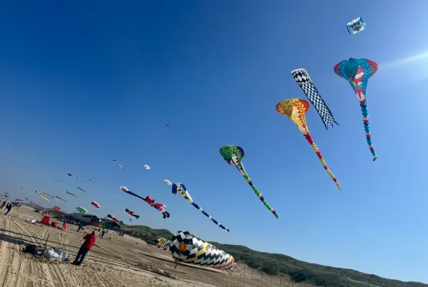 Vliegerfeest Callantsoog