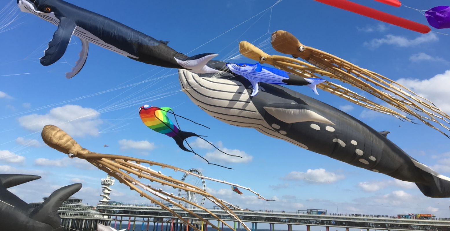 Bewonder tientallen gigantische vliegers aan de Scheveningse kust. Foto: Vliegerfeest Scheveningen, Team Lekker Windje.