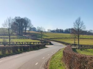 Puzzeluitje Limburg