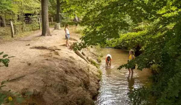 Foto: Camping De Helfterkamp