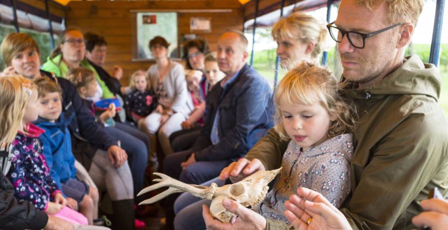 Genieten in de huifkar. Foto: Natuurmonumenten © Andries de la Lande Cremer