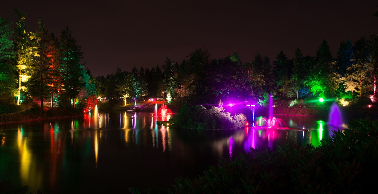 Stadspark Berg & Bos verlicht tijdens Lumido. Foto: Lumido