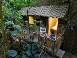 Jungle Cabana.