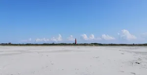 Hoeven in het zand: huifkartocht op Schiermonnikoog De tocht brengt je langs de mooiste stukjes van het eiland, zoals over het strand en langs de vuurtoren. Foto: DagjeWeg.NL.