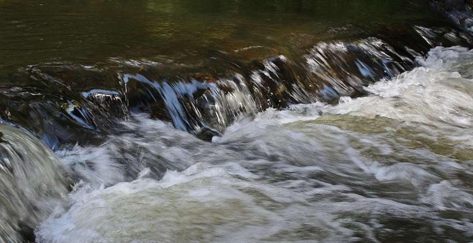 Met de stroom mee, een excursie in Nationaal Park Drentsche Aa. Foto: IVN Drenthe - Fotografie Myriam.