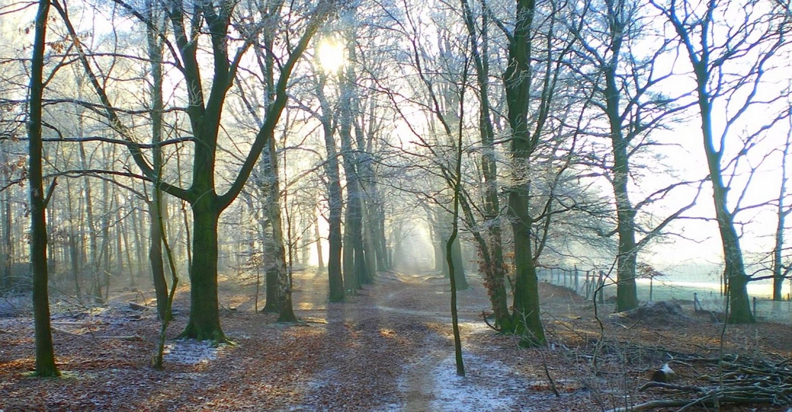 De paden op, de lanen in en hopelijk schijnt er een zonnetje. Foto: Henk Arendse