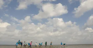 Wattwanderung Schiermonnikoog Wattwanderung SchiermonnikoogFoto geüpload door gebruiker Natuurmonumenten.