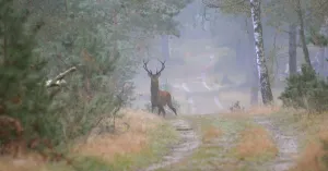 Ontdek het gebied de Zevenheuvelen in de avond Ontdek het gebied de Zevenheuvelen in de avond | Foto geüpload door gebruiker Natuurmonumenten.
