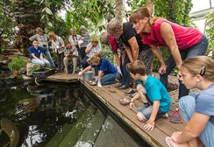 Wat zie je zwemmen in de tropische vijver? Foto: Klein Costa Rica.