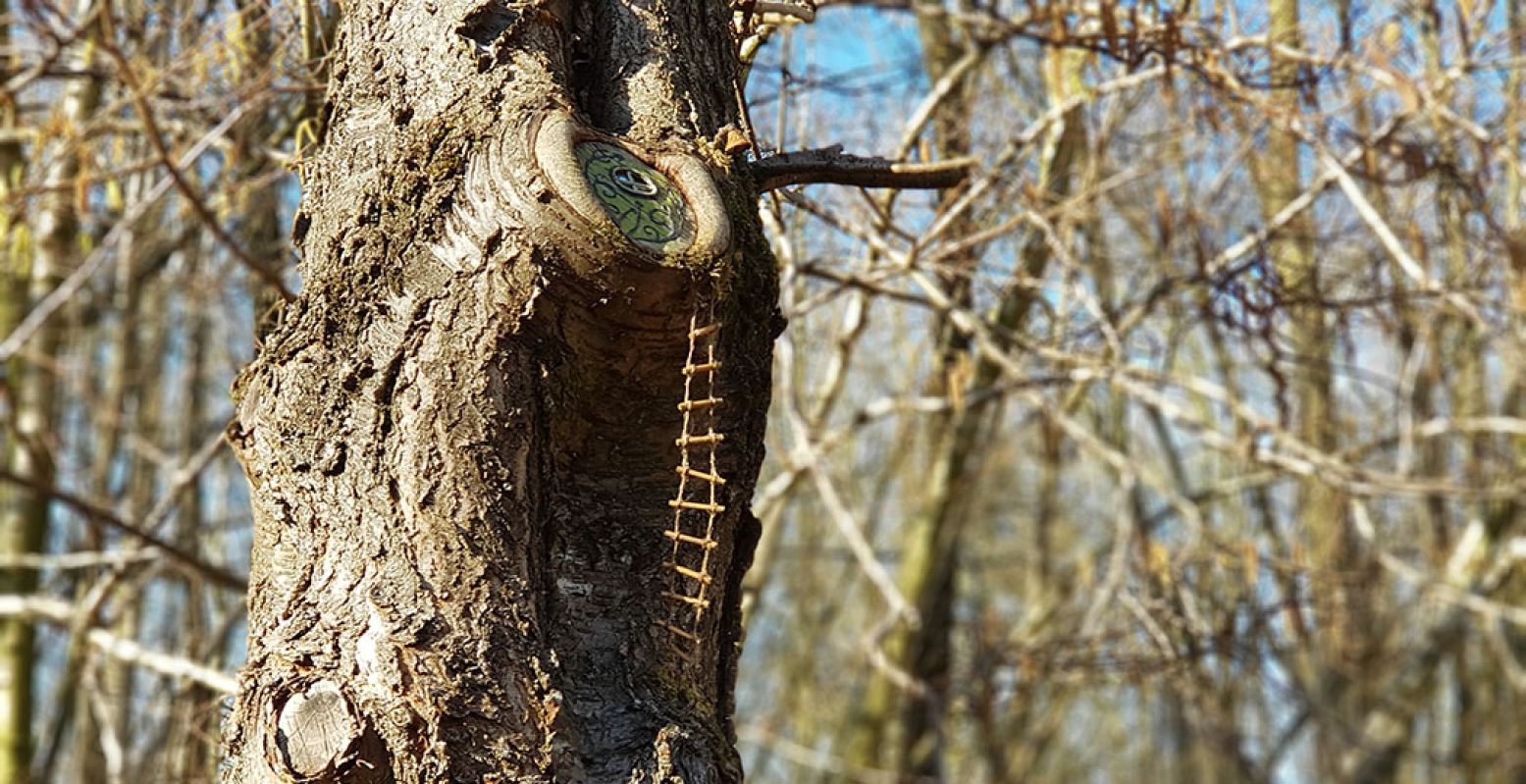 Is dit geen prachtig exemplaar? Je ziet bijna een elfje het laddertje opklimmen. Foto: DagjeWeg.NL © Tonny van Oosten