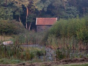 Arboretum Poort Bulten