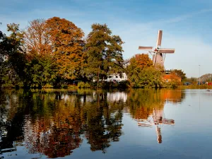 Molen de Ster en Molen de Lelie Molen de Ster. Foto: Rotterdam Make It Happen. ©  Iris van den Broek