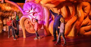 Top 25 dagjes uit van 2021 Op onderzoek uit in het menselijk lichaam bij CORPUS. Foto: CORPUS