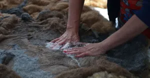 Workshop vachtvilten op De Onlanderij | Foto geüpload door gebruiker Natuurmonumenten.