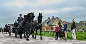 Fries Landbouwmuseum viert 100-jarig jubileum Het Fries Landbouwmuseum werd op 16 mei officieel heropend met een lange tocht van Friese paarden. Foto: Fries Landbouwmuseum
