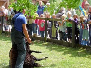 Feestvieren op de boerderij