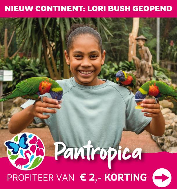 Ontdek het gloednieuwe continent van Pantropica