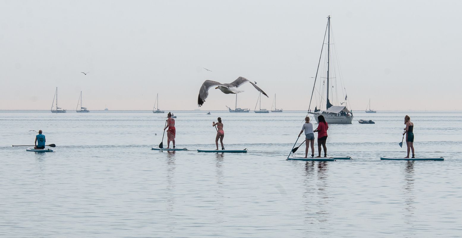 Een bijzondere ervaring: suppen op de Waddenzee bij Vlieland. Foto: Freek Roerdink