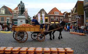 Hoorn cheese market