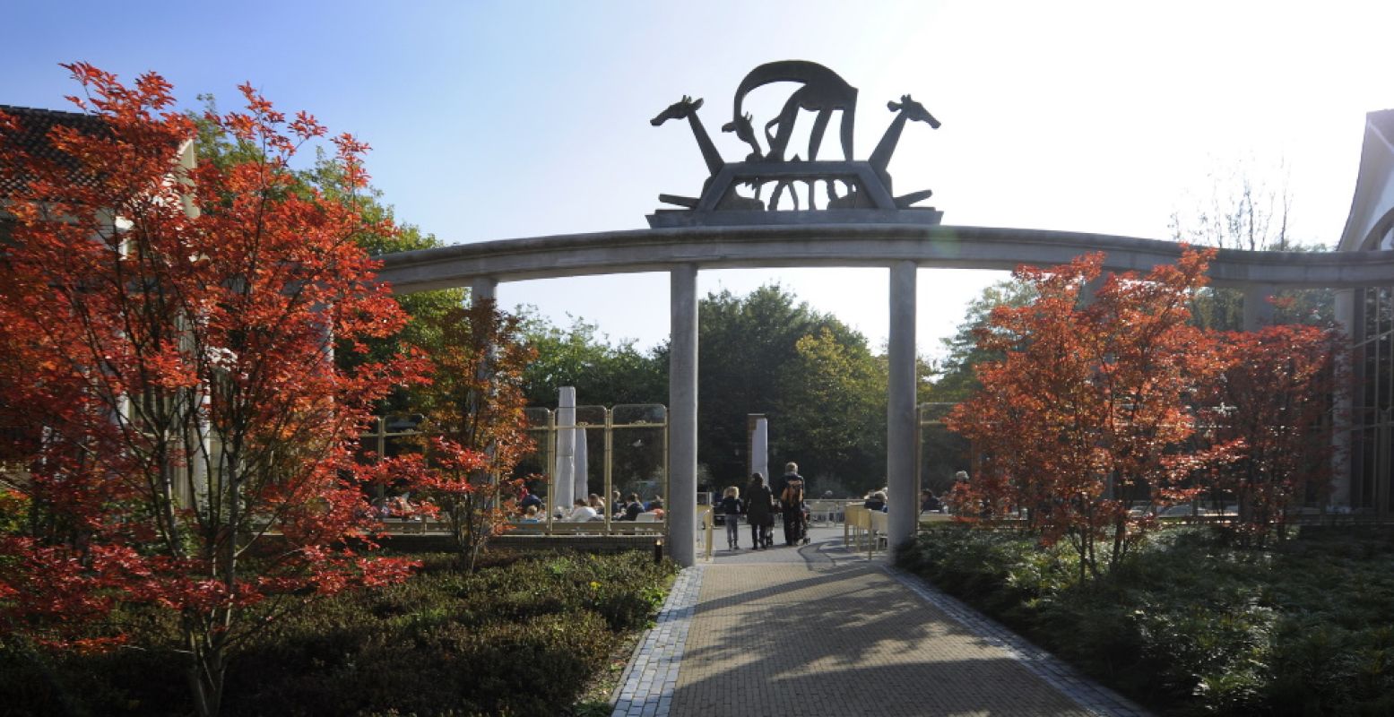 Ontdek alle verborgen monumenten in Diergaarde Blijdorp. Foto: Diergaarde Blijdorp © Rob Doolaard.