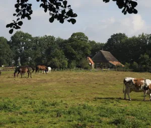Zomerwandeling Foto geüpload door gebruiker Geldersch Landschap en Kasteelen