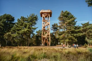 Uitkijktoren Aan de Paardekop Foto: Hart van Limburg