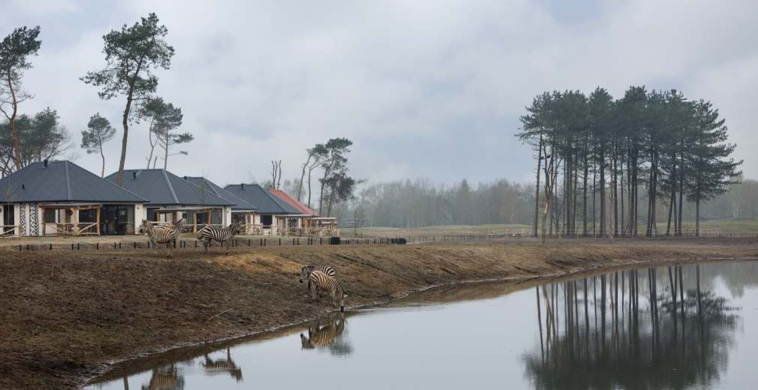 Vanuit je lodge zie je de wilde dieren voorbij lopen. Foto: Safaripark Beekse Bergen