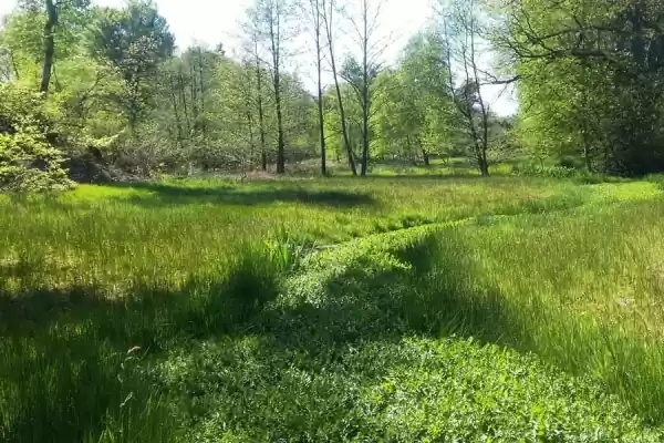 springendal | Foto ge&uuml;pload door gebruiker Staatsbosbeheer.