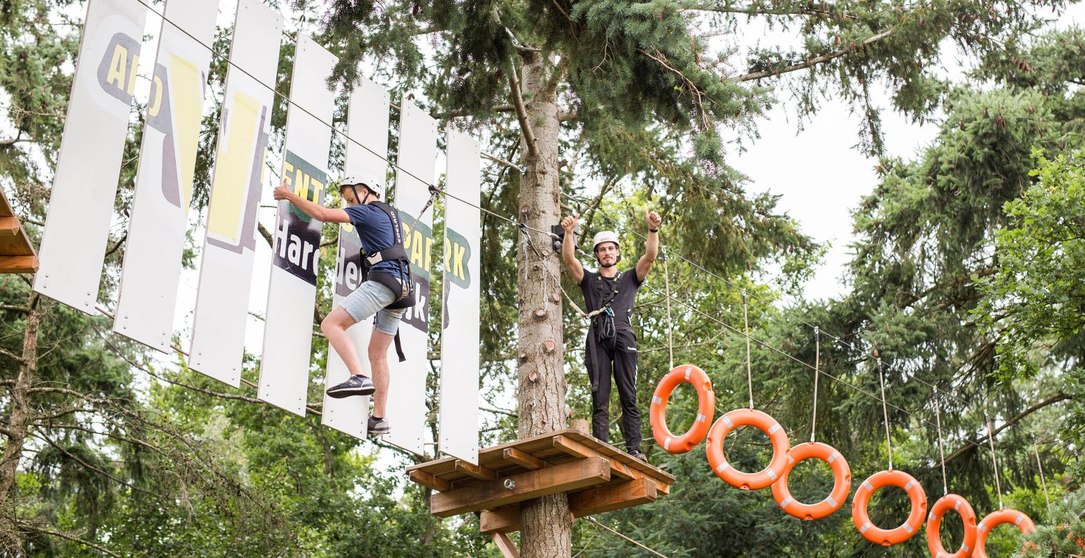 In Klimbos Harderwijk bepaal je zelf je route door de toppen van de bomen. Daarbij kom je langs allerlei gave en verrassende klimelementen. Foto: Klimbos Harderwijk