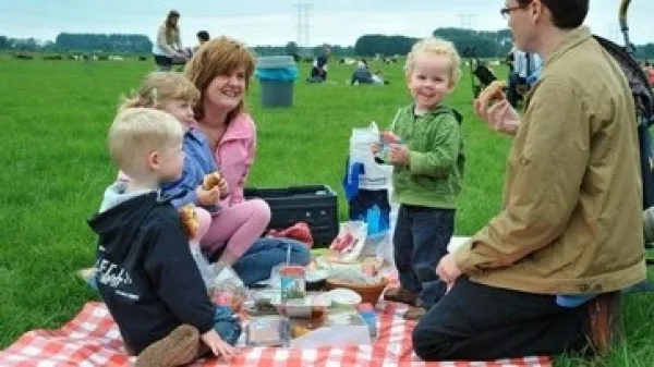 Picknicken tussen de koeien