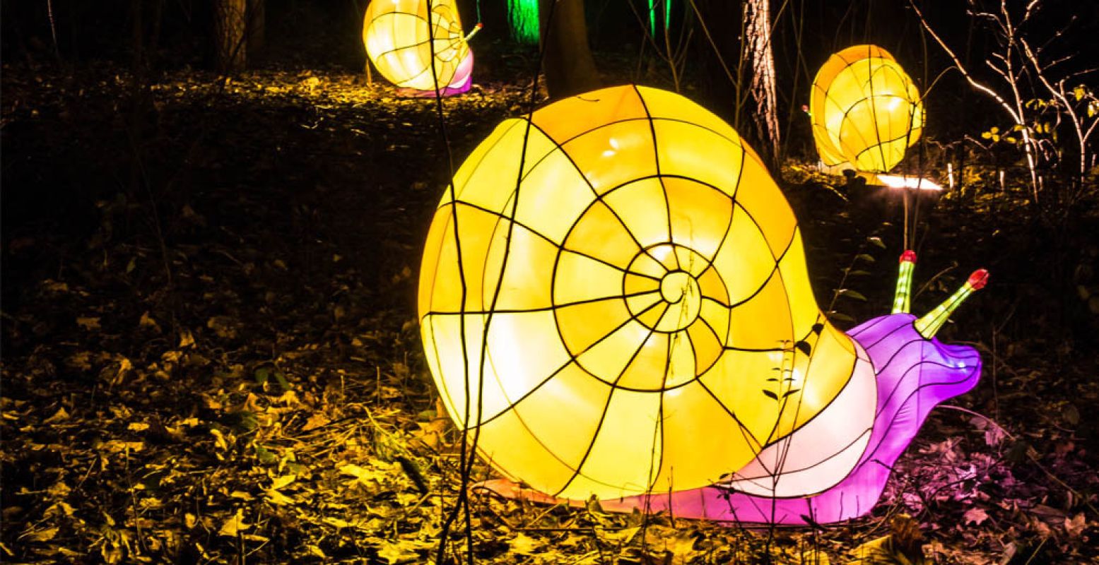 Wandel tussen de lichtgevende dieren. Foto: Koninklijke Burgers' Zoo.