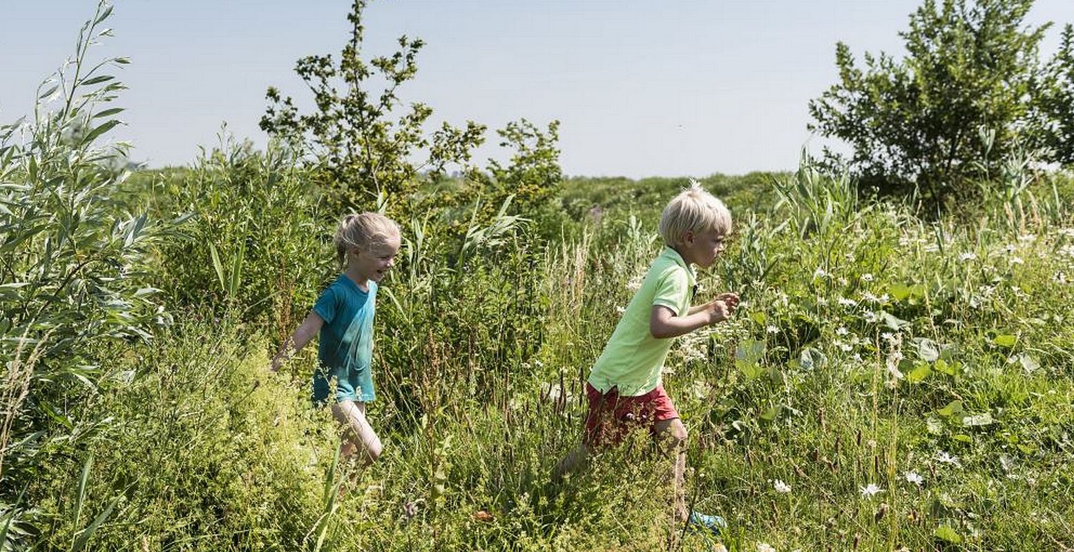 Kom op avontuur in de natuur van het eiland Tiengemeten. Foto: Natuurmonumenten © Janko van Beek