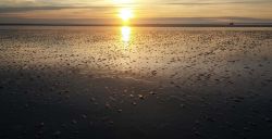 Eilandhoppen op de Wadden