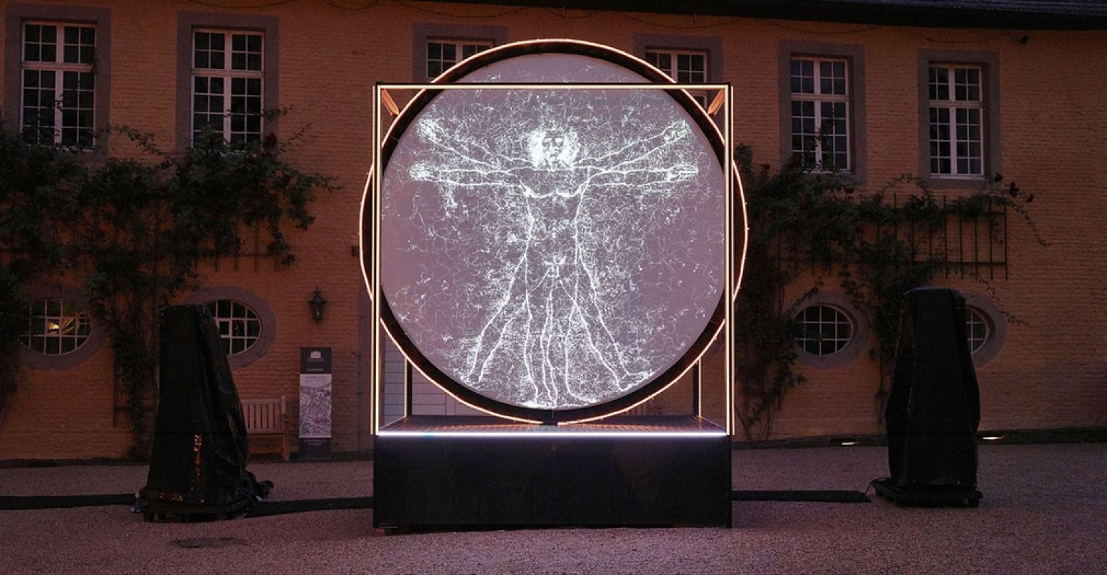 L'uomo perfetto van Scena Urbana laat de wereldberoemde Vitruvian Man van Leonardo da Vinci tot leven komen. Foto: Lumen In Art © Claus Langer