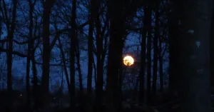 Volle maan op Veluwezoom Volle maan op VeluwezoomFoto geüpload door gebruiker Natuurmonumenten.