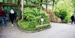 Burgers' Zoo met 1,5 meter afstand: zo ziet een bezoek eruit