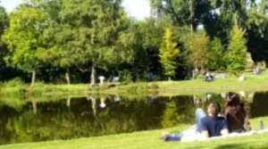 Genieten van cultuur in zomers Amsterdam