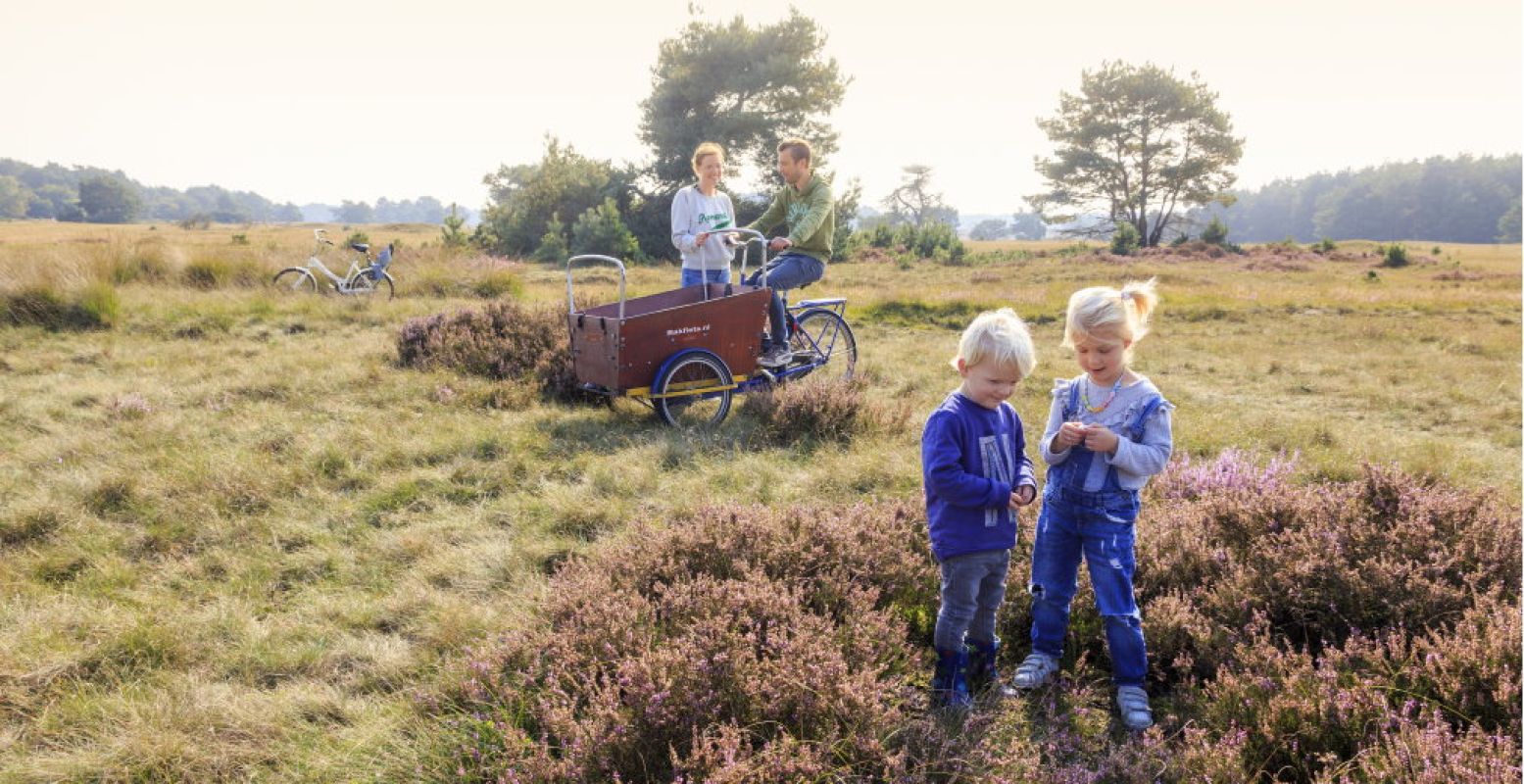 Verken samen de groene en weidse Veluwe. Foto: Toerisme Veluwe