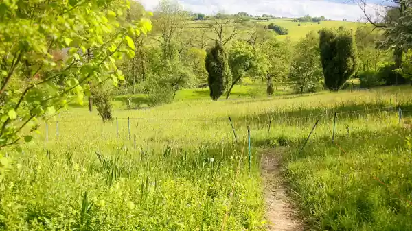Tuinen in het Gerendal | Foto ge&uuml;pload door gebruiker Staatsbosbeheer.
