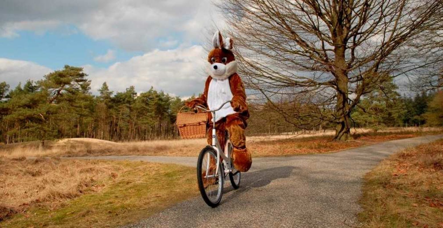 De paashaas is gespot in Het Nationale Park De Hoge Veluwe. Foto: Het Nationale Park De Hoge Veluwe