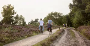 DW Awards: uitmuntende uitjes uit Gelderland Wat doe jij het liefst in Gelderland? Foto: Staatsbosbeheer ©