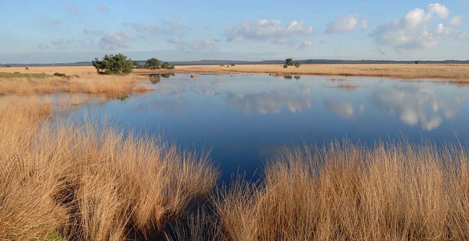 Verken samen een van de mooiste stukjes natuur in Nederland. Foto: Het Nationale Park De Hoge Veluwe.